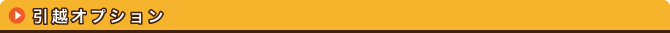 引越オプション